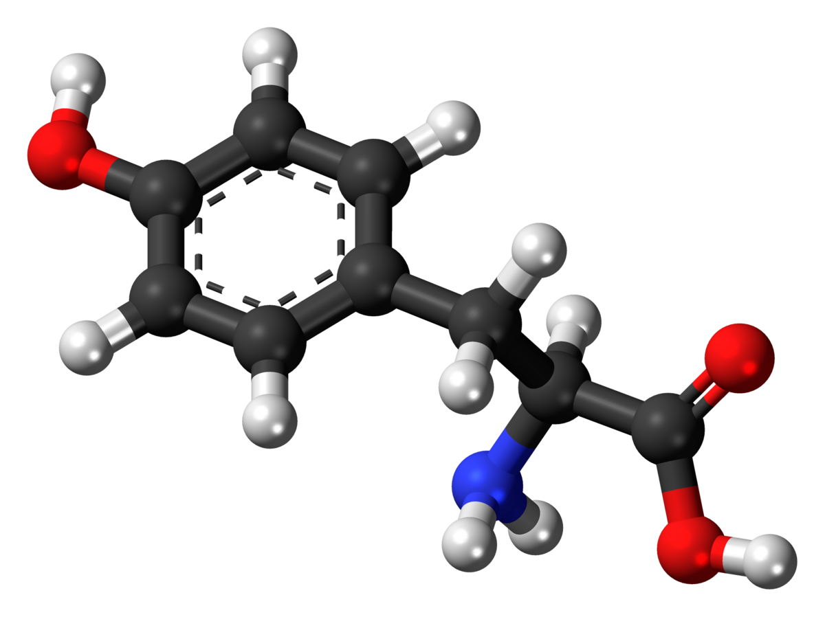 L-Tyrosine